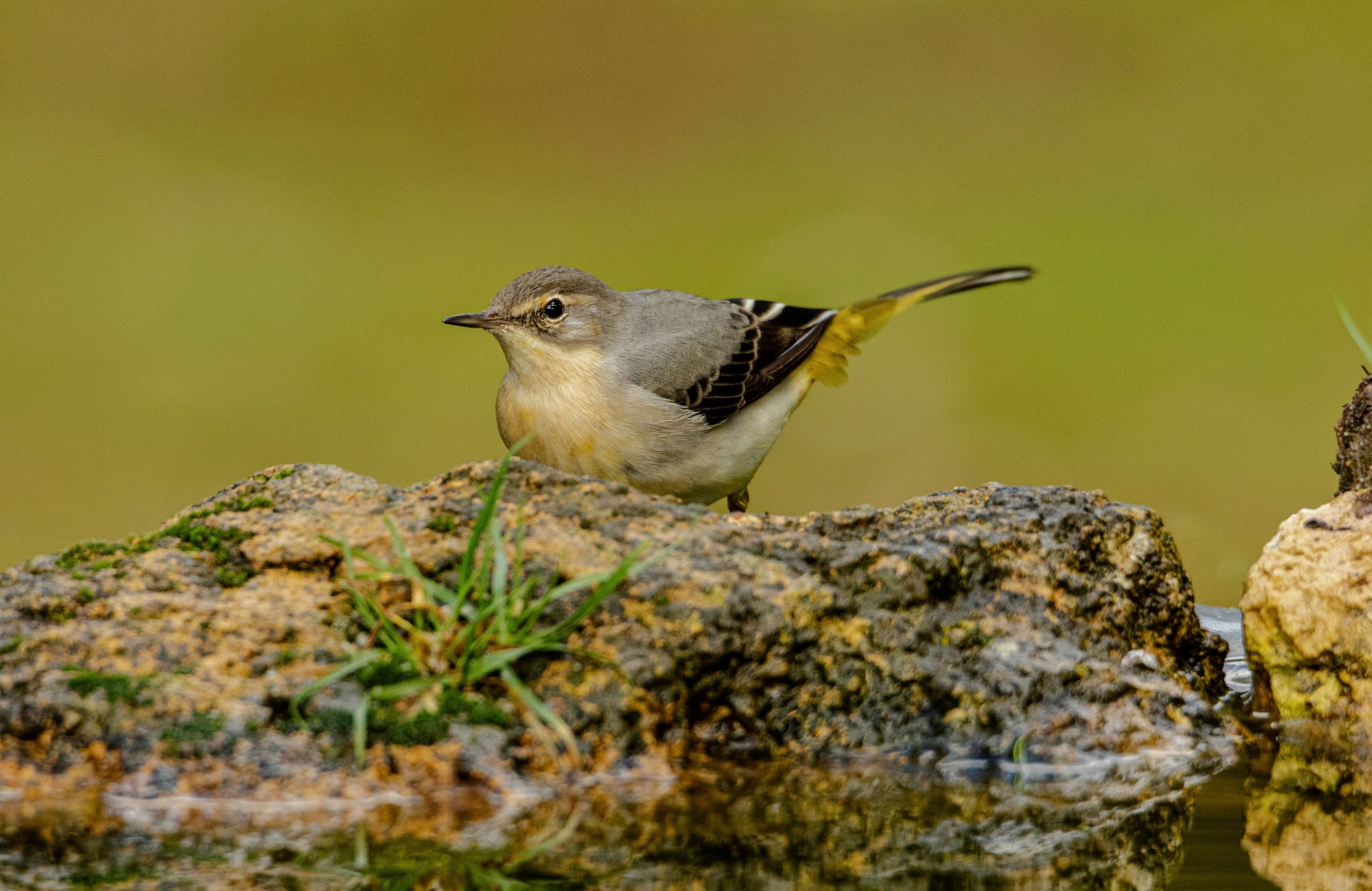 11 Hide noviembre 2022 2-21112022-8093